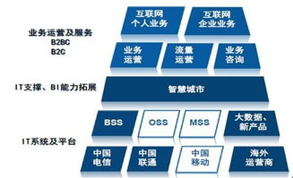 天源迪科（300047）更新研究報(bào)告 聚焦政企與運(yùn)營(yíng)商雙輪驅(qū)動(dòng)，深化軟件外包服務(wù)布局